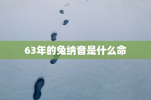 63年的兔纳音是什么命