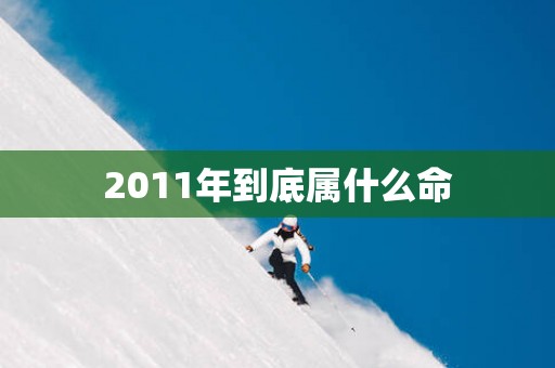 2011年到底属什么命