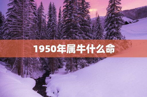 1950年属牛什么命