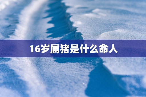 16岁属猪是什么命人