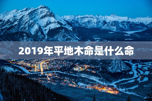 2019年平地木命是什么命