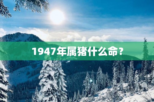 1947年属猪什么命？