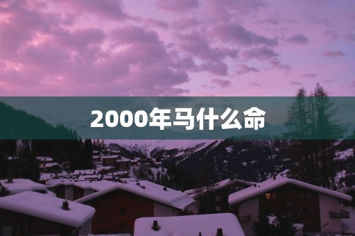 2000年马什么命 2000年马什么命