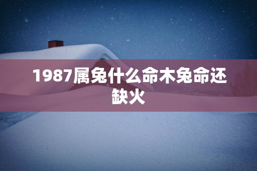 1987属兔什么命木兔命还缺火
