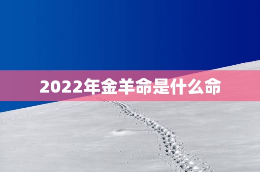2025年金羊命是什么命