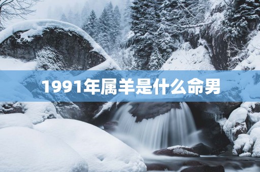 1991年属羊是什么命男