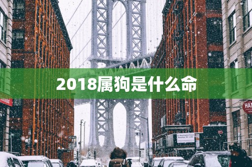 2018属狗是什么命