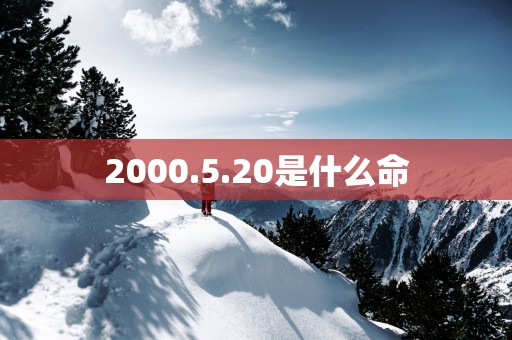2000.5.20是什么命