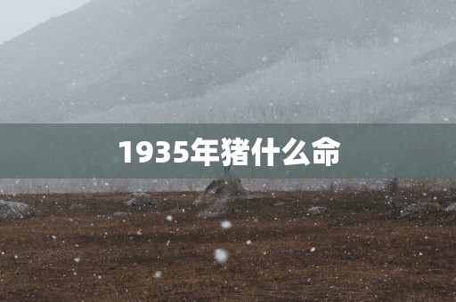 1935年猪什么命