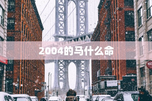2004的马什么命