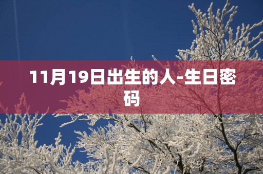 11月19日出生的人-生日密码