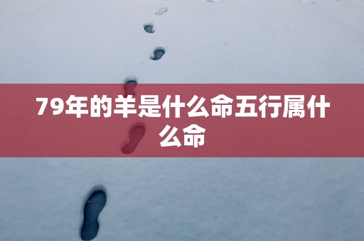 79年的羊是什么命五行属什么命 79年的羊是什么命五行属什么命