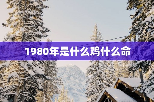 1980年是什么鸡什么命