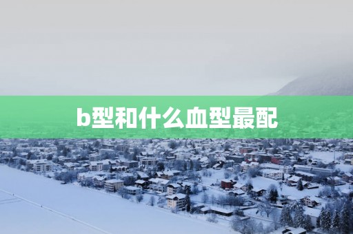b型和什么血型最配
