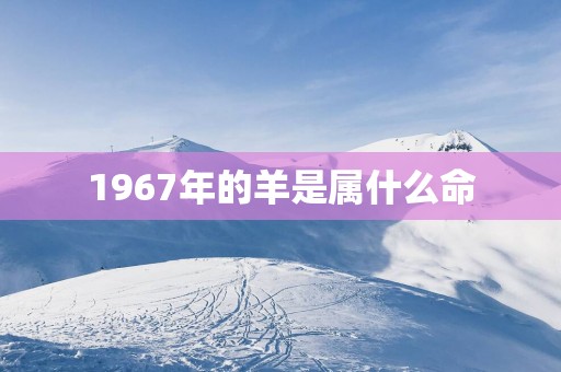 1967年的羊是属什么命