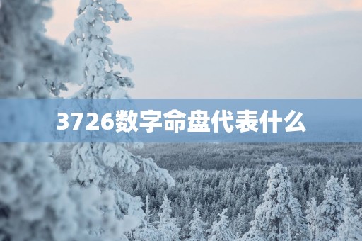 3726数字命盘代表什么