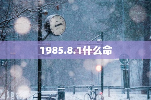 1985.8.1什么命
