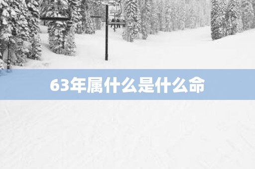 63年属什么是什么命