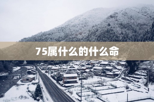 75属什么的什么命