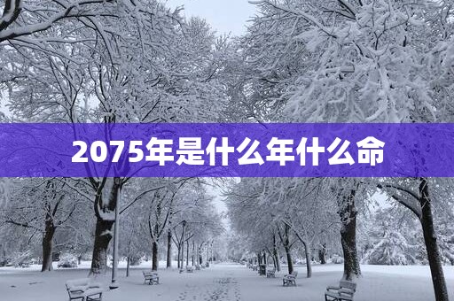 2075年是什么年什么命