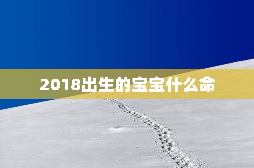 2018出生的宝宝什么命
