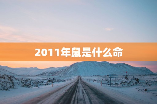 2011年鼠是什么命