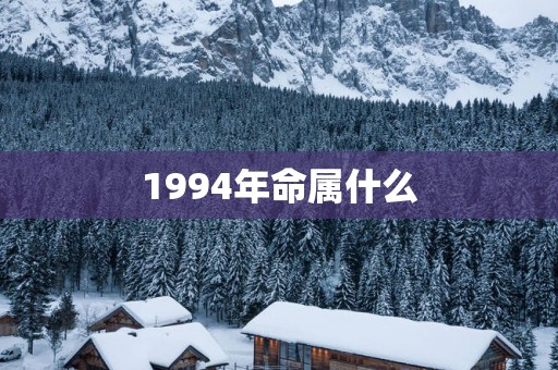1994年命属什么