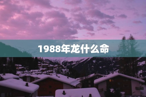1988年龙什么命