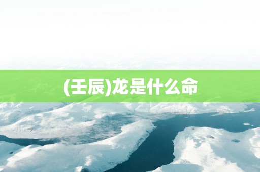 (壬辰)龙是什么命