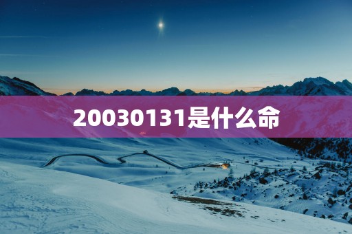 20030131是什么命