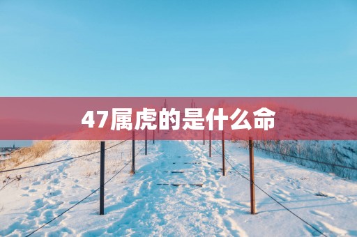 47属虎的是什么命