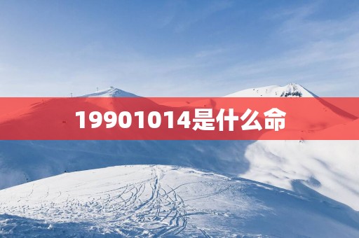 19901014是什么命