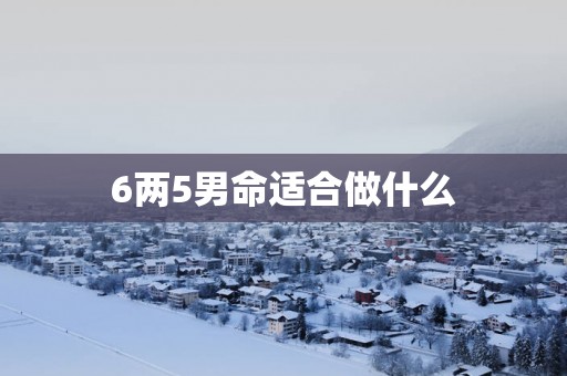 6两5男命适合做什么