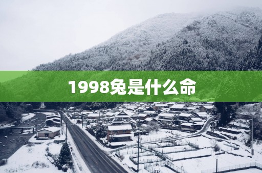 1998兔是什么命