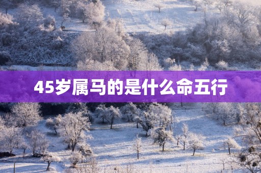 45岁属马的是什么命五行