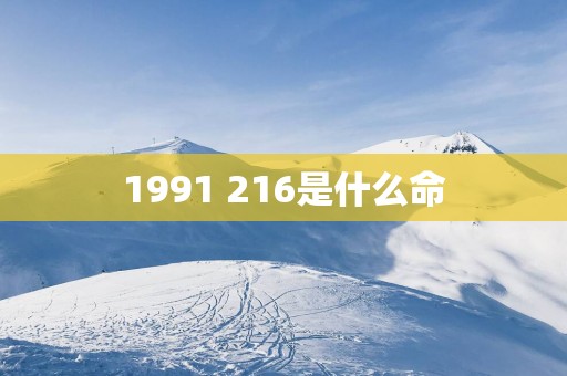 1991 216是什么命