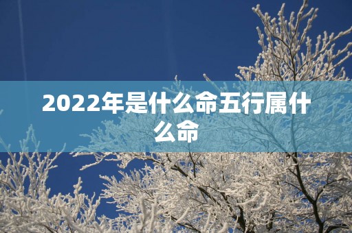 2025年是什么命五行属什么命