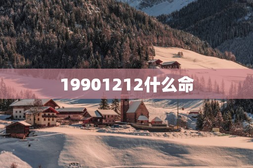 19901212什么命