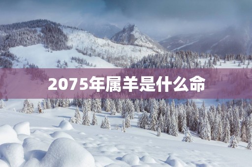 2075年属羊是什么命