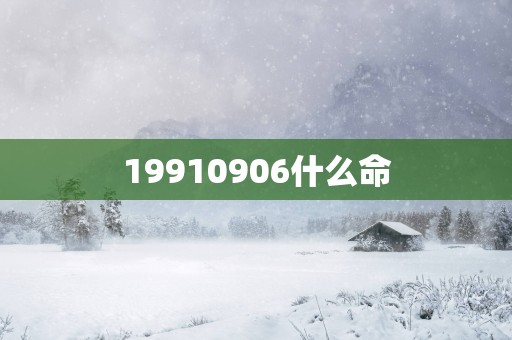 19910906什么命