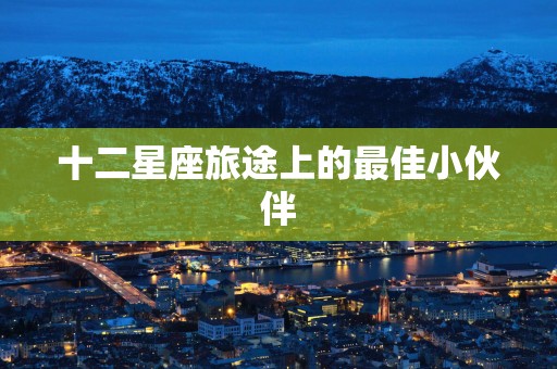 十二星座旅途上的最佳小伙伴