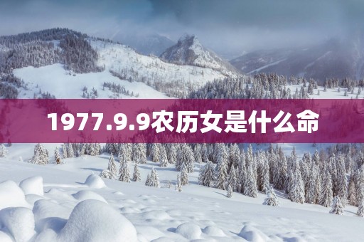 1977.9.9农历女是什么命