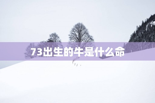 73出生的牛是什么命