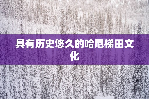 具有历史悠久的哈尼梯田文化