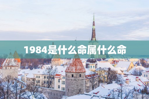 1984是什么命属什么命