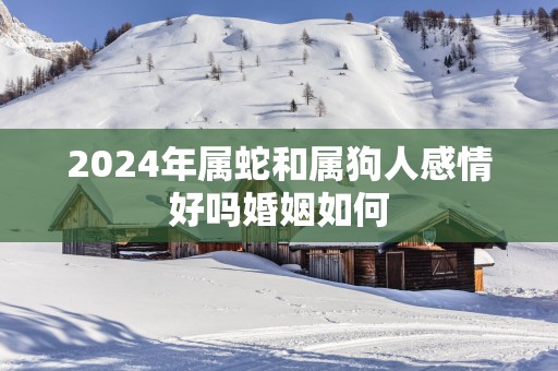 2025年属蛇和属狗人感情好吗婚姻如何