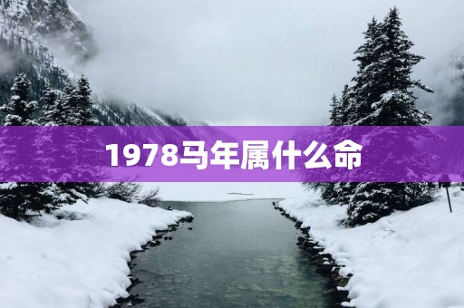 1978马年属什么命