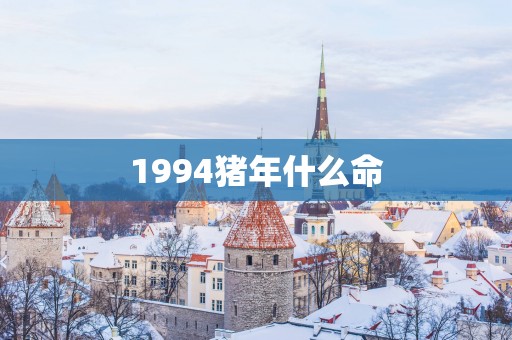 1994猪年什么命