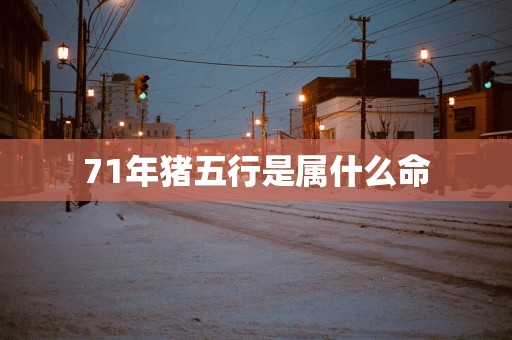 71年猪五行是属什么命