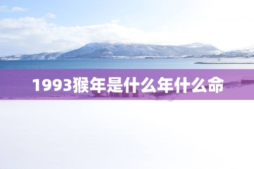 1993猴年是什么年什么命